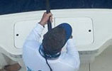 Islamorada Sportfishing